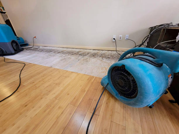 Professional Water Extraction technician working in Magnolia, MN